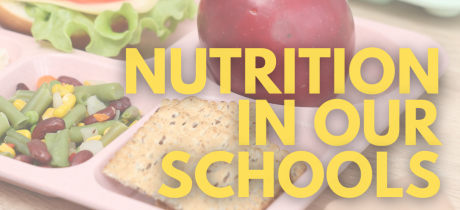 NutritioninOur School Banner