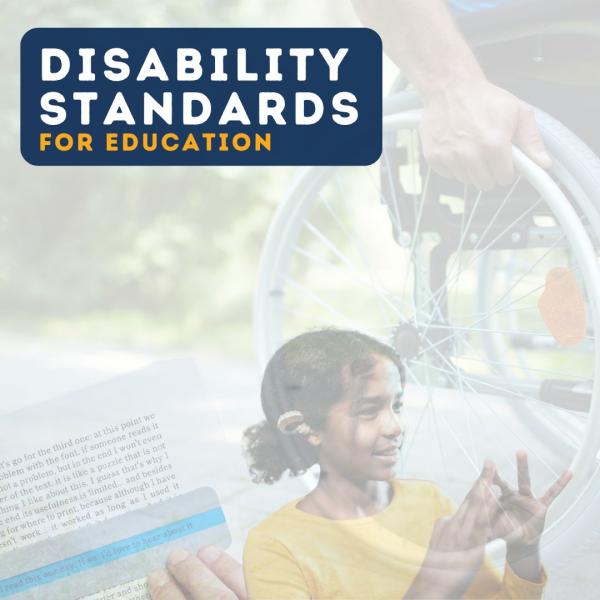 Disability Standards graphic